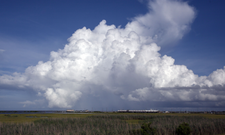 Tropical Storm Barry Rainfall Totals: Projections Indicate 10 to 20 Inches of Downpour in Louisiana Tropical Storm Barry Rainfall Totals: Projections Indicate 10 to 20 Inches of Downpour in Louisiana