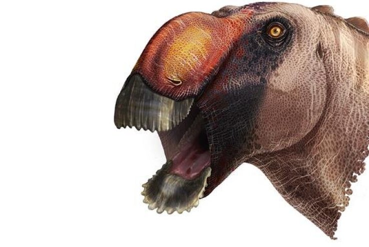 Aquilarhinus palimentu, dinosaur Aquilarhinus palimentu, dinosaur