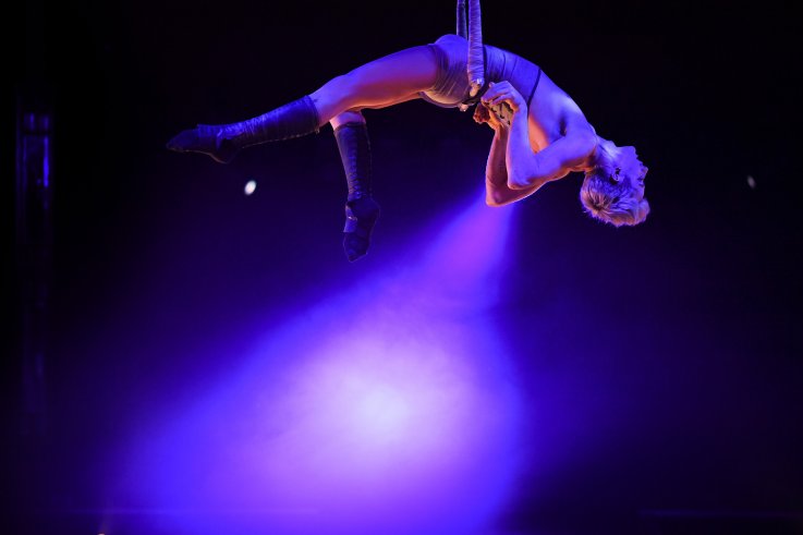 Trapeze artist Trapeze artist