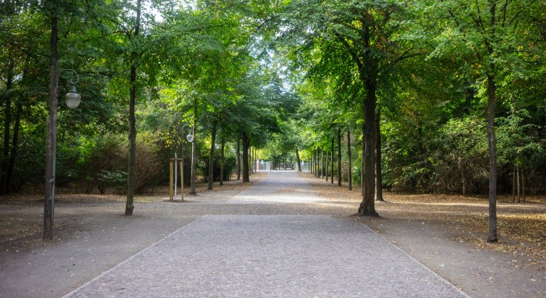 Tiergarten