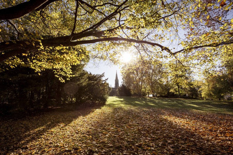 Viktoria Park