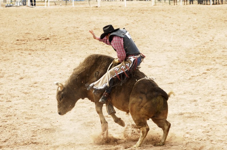 rodeo rodeo
