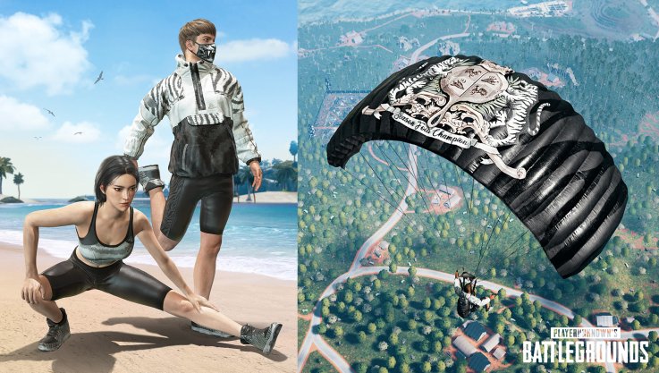 pubg season 4 survivor pass pubg season 4 survivor pass