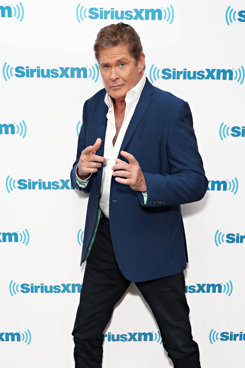 david hasselhoff