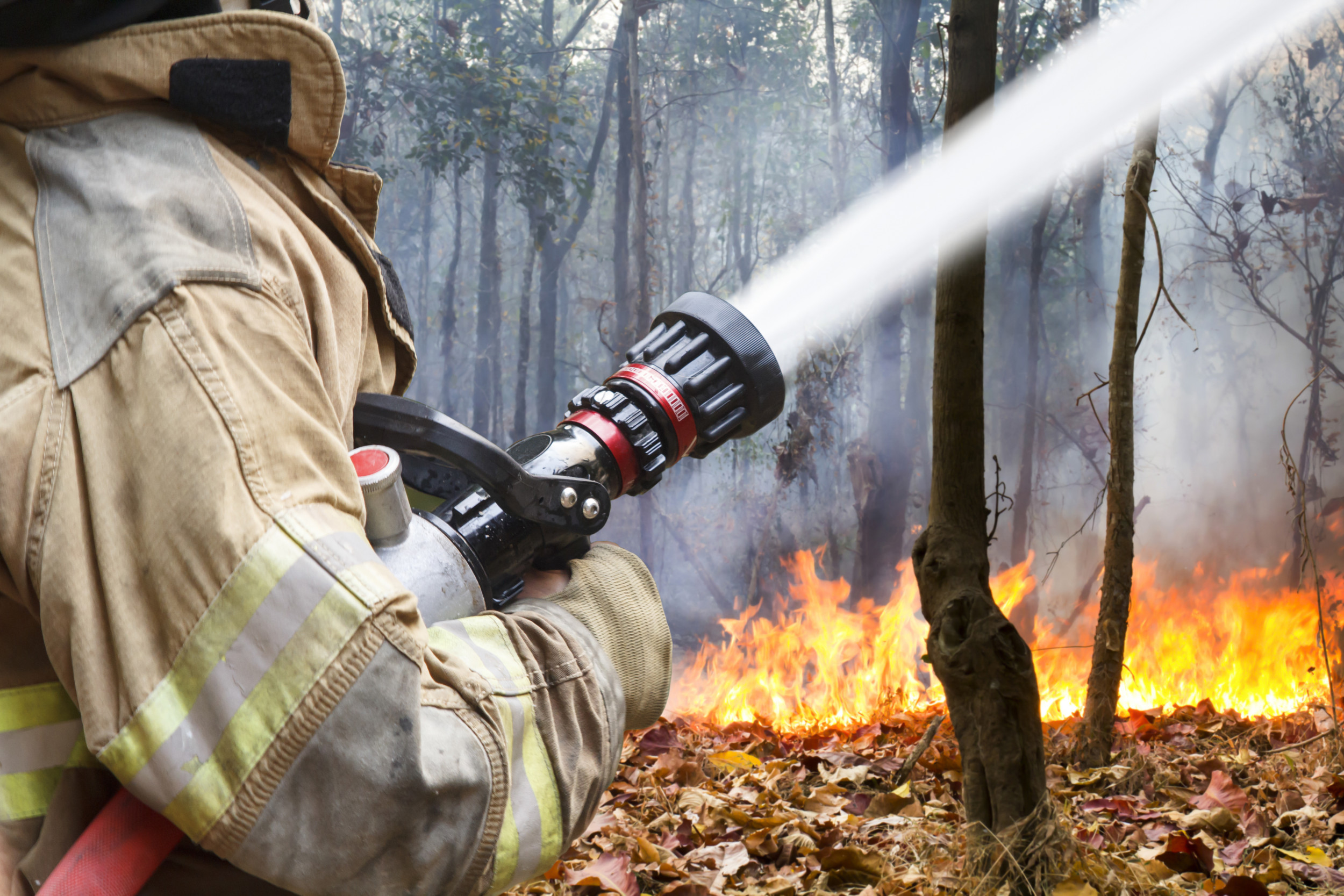 Повышенная пожароопасность. Тушение пожара в лесу. Пожарные тушат пожар в лесу. Противопожарный режим в лесу. Борьба с огнем.