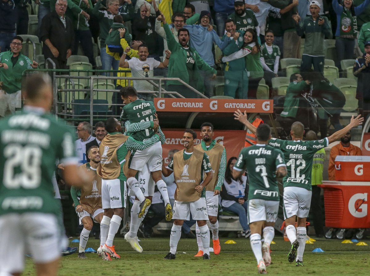 Palmeiras, Copa Libertadores
