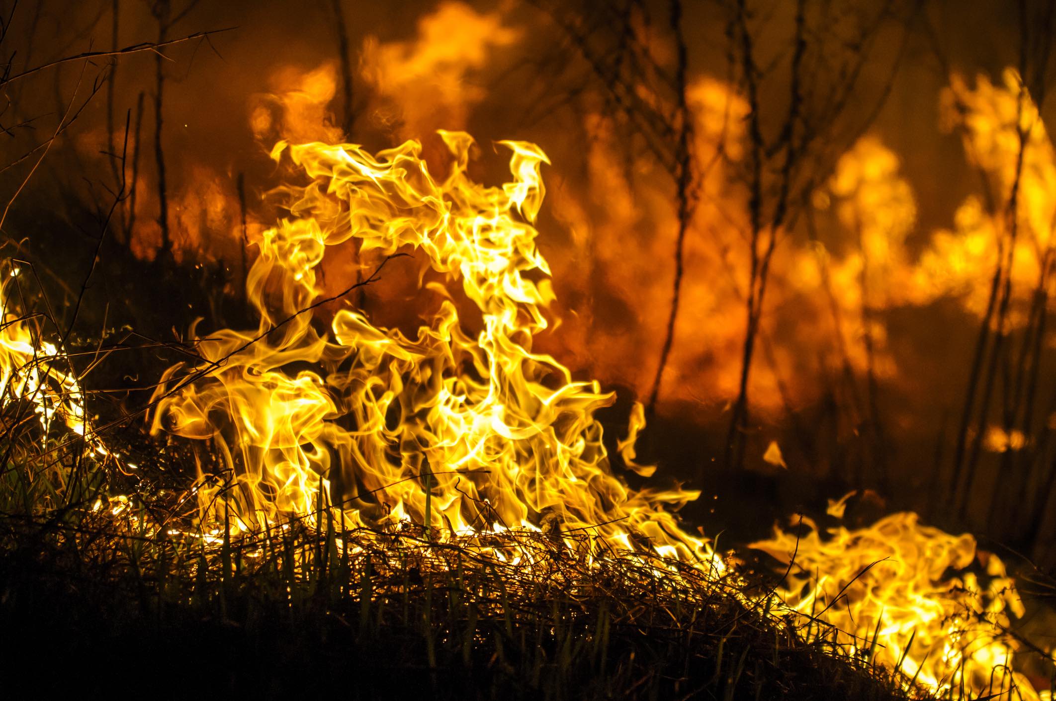 As Fires Rage in Greece, Residents Forced to Evacuate Villages