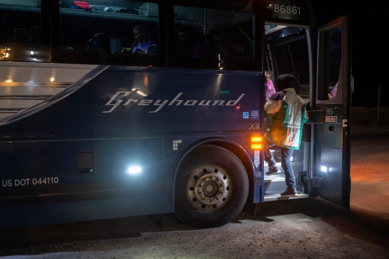 Greyhound Greyhound