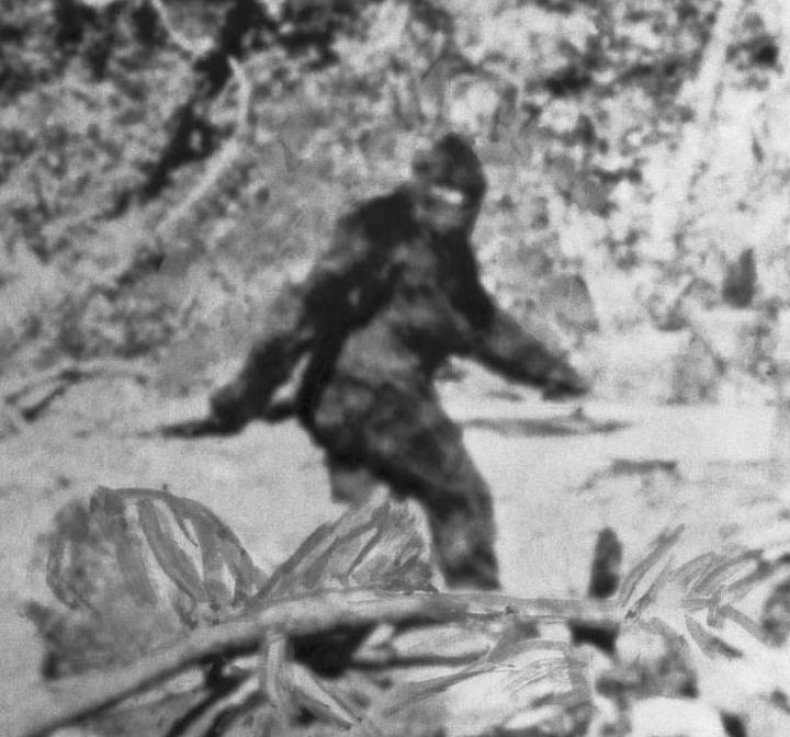 bigfoot