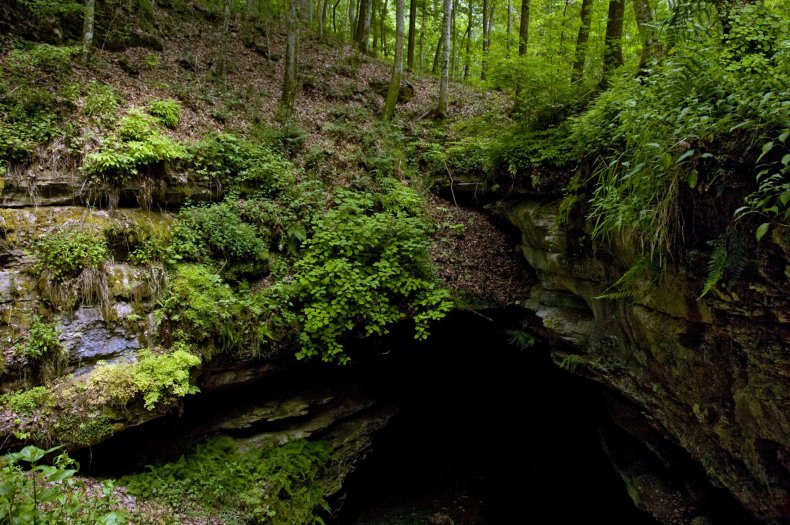 mammoth cave
