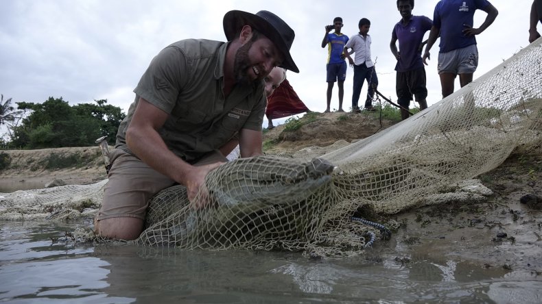 Forrest Galante, shark week, crocodile, pondicherry,