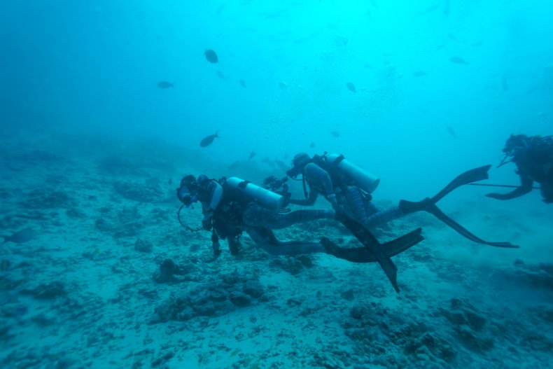 shark week, Extinct or Alive, discovery channel,