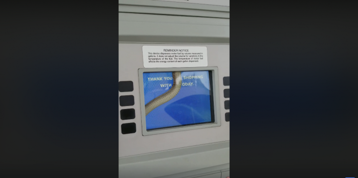 Snake gas pump Holly Brown Malkames Snake gas pump Holly Brown Malkames