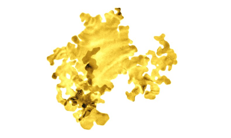 2D gold 2D gold