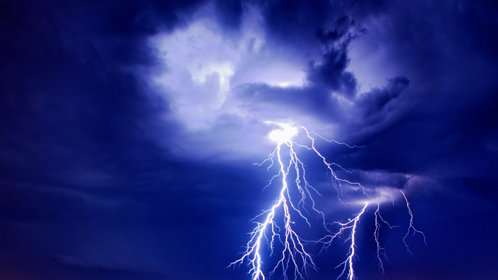 Florida Man Remains Unconscious Days After Being Struck by Lightning While  He Was Sitting in Wheelchair Under a Tree