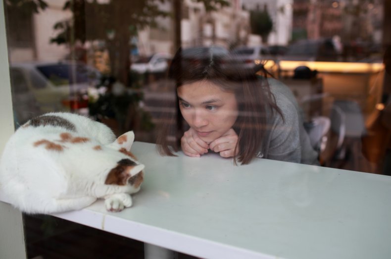 International Cat Day Cat Cafes Near You in the U.S.