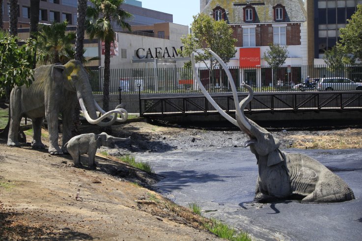 La Brea Tar Pits La Brea Tar Pits