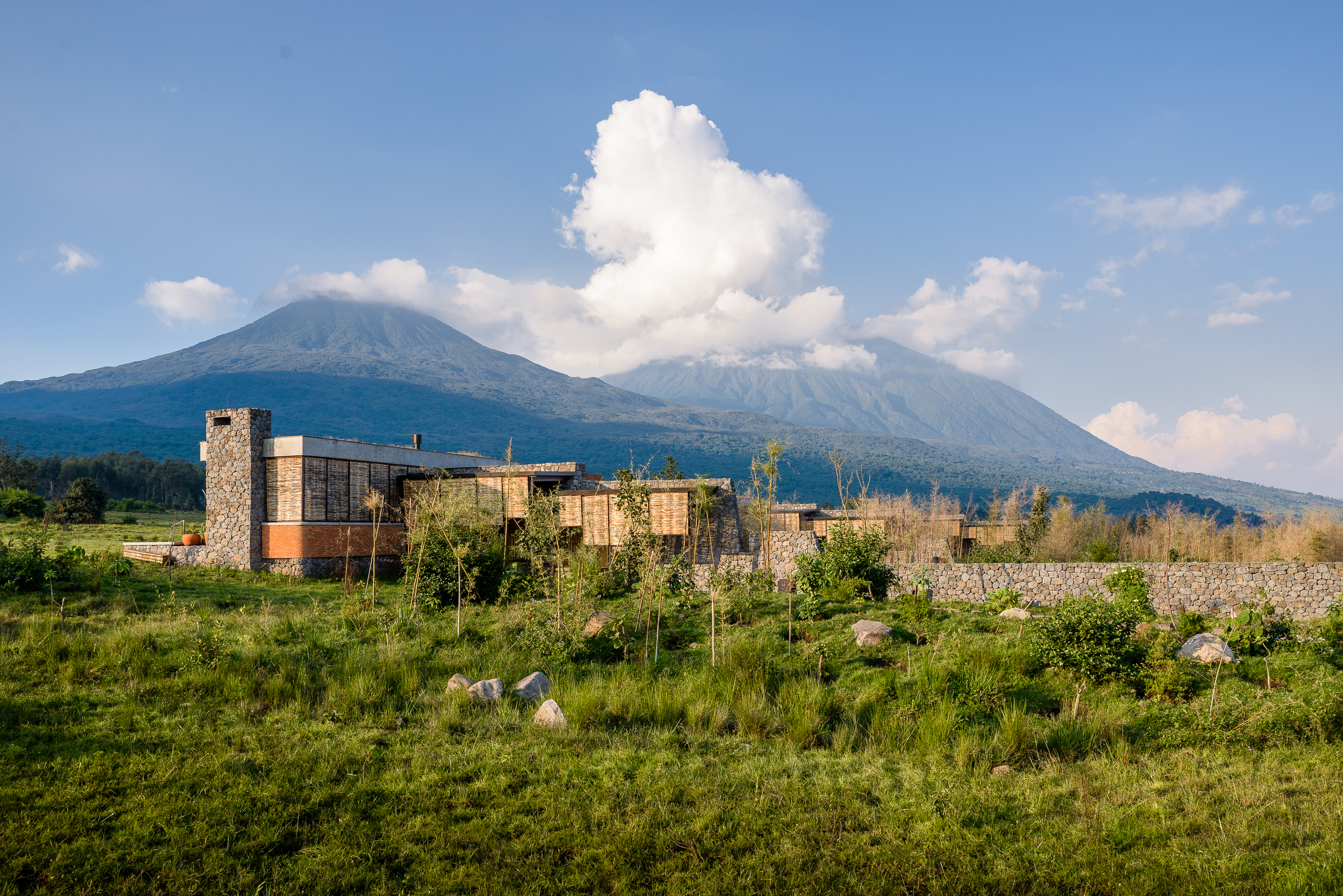 An Eco-Gorilla Opens in Rwanda