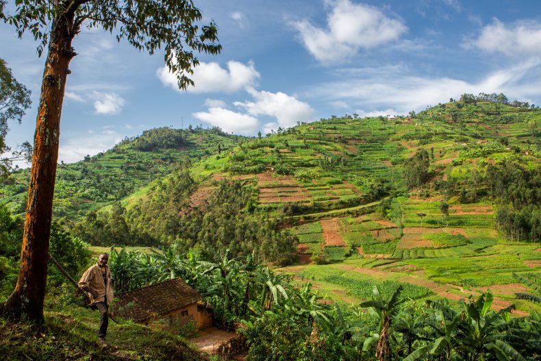 human encroachment rwanda