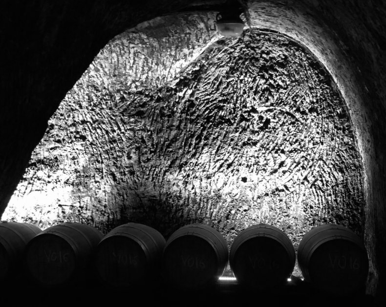 spain wine barrels
