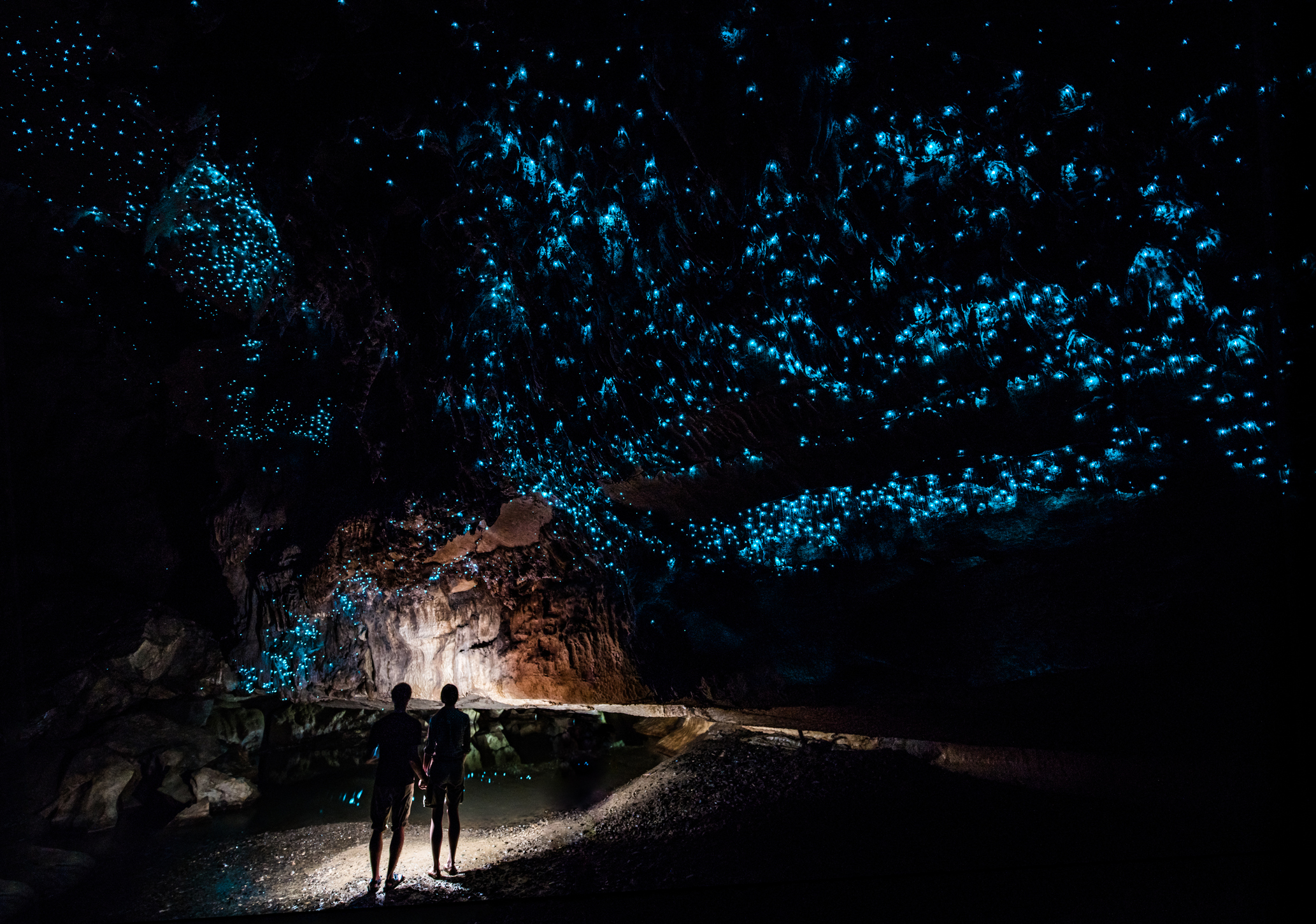 glow worm cave