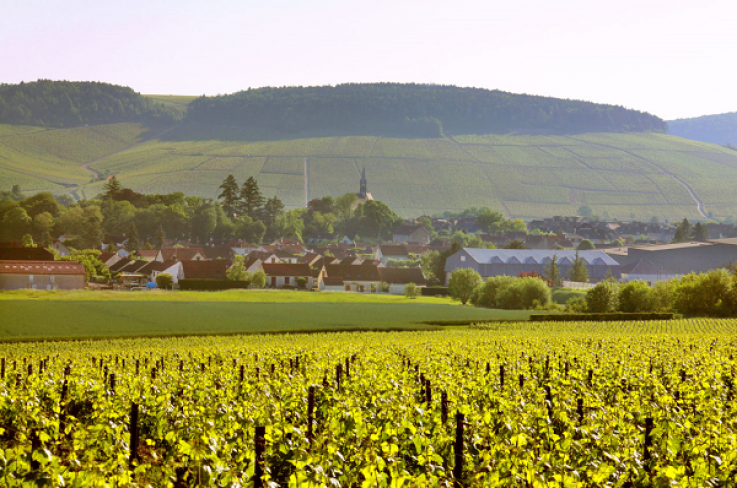 Before You Rule Out Chardonnay, Try Domaine Laroche Chablis Before You Rule Out Chardonnay, Try Domaine Laroche Chablis