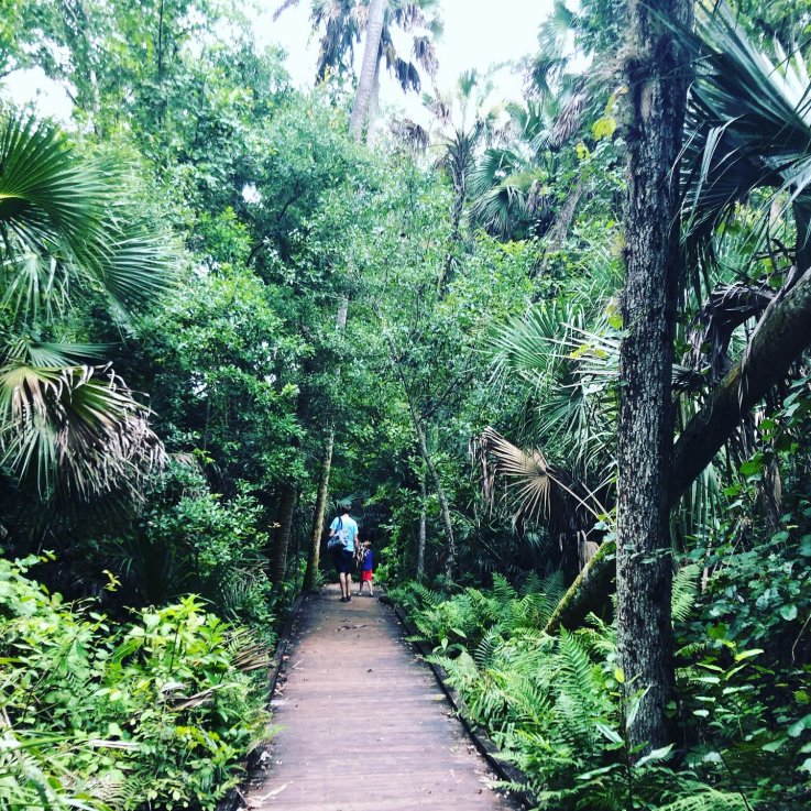 Wekiwa Springs Orlando Wekiwa Springs Orlando