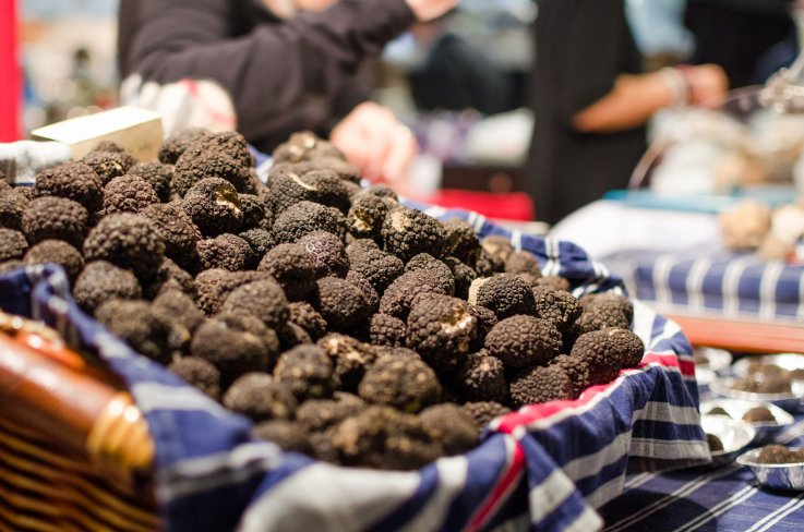Alba White Truffle Frestival Alba White Truffle Frestival