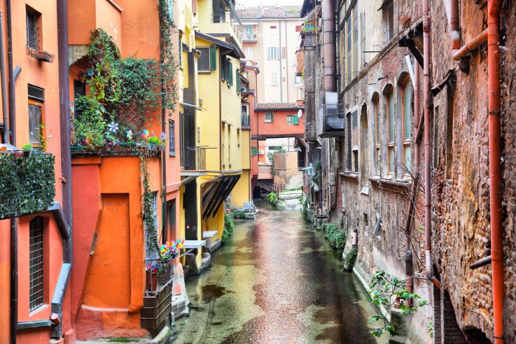 Bologna Bologna