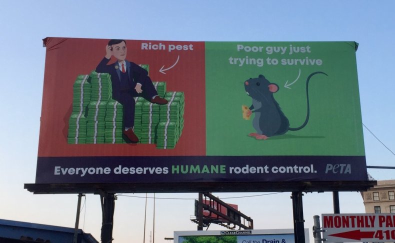 PETA billboard calls Jared Kushner "rich pest"