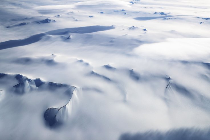 Antarctica Antarctica
