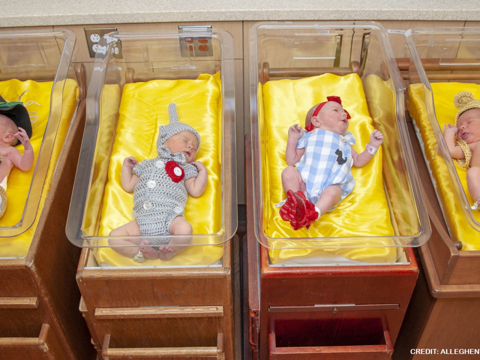 Hospital Dresses Babies Up Like Wizard Of Oz Characters To Celebrate Movie S 80th Anniversary