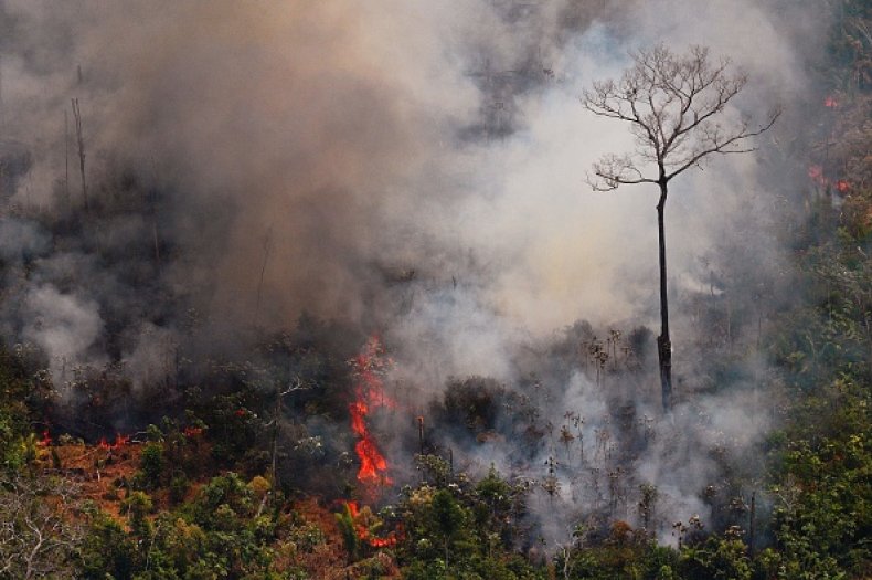 Amazon Rainforest Fire