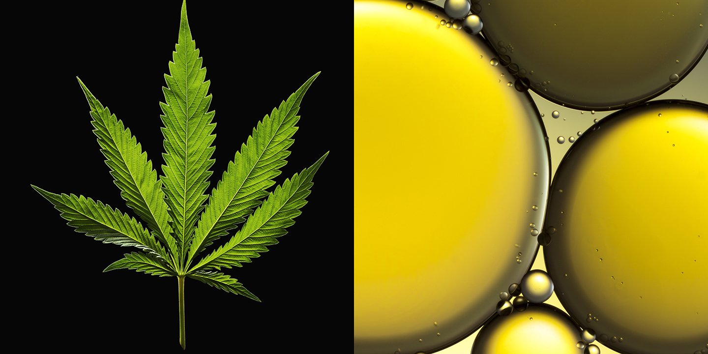 All About Cbd Oil Florida: Is It Legal