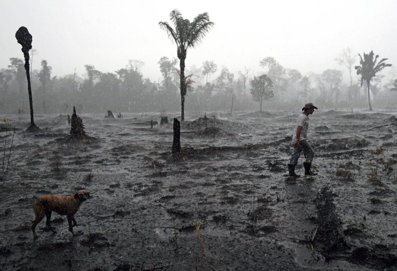 Amazon, rainforest, fires, Macron, G7, Bolsonaro, aid