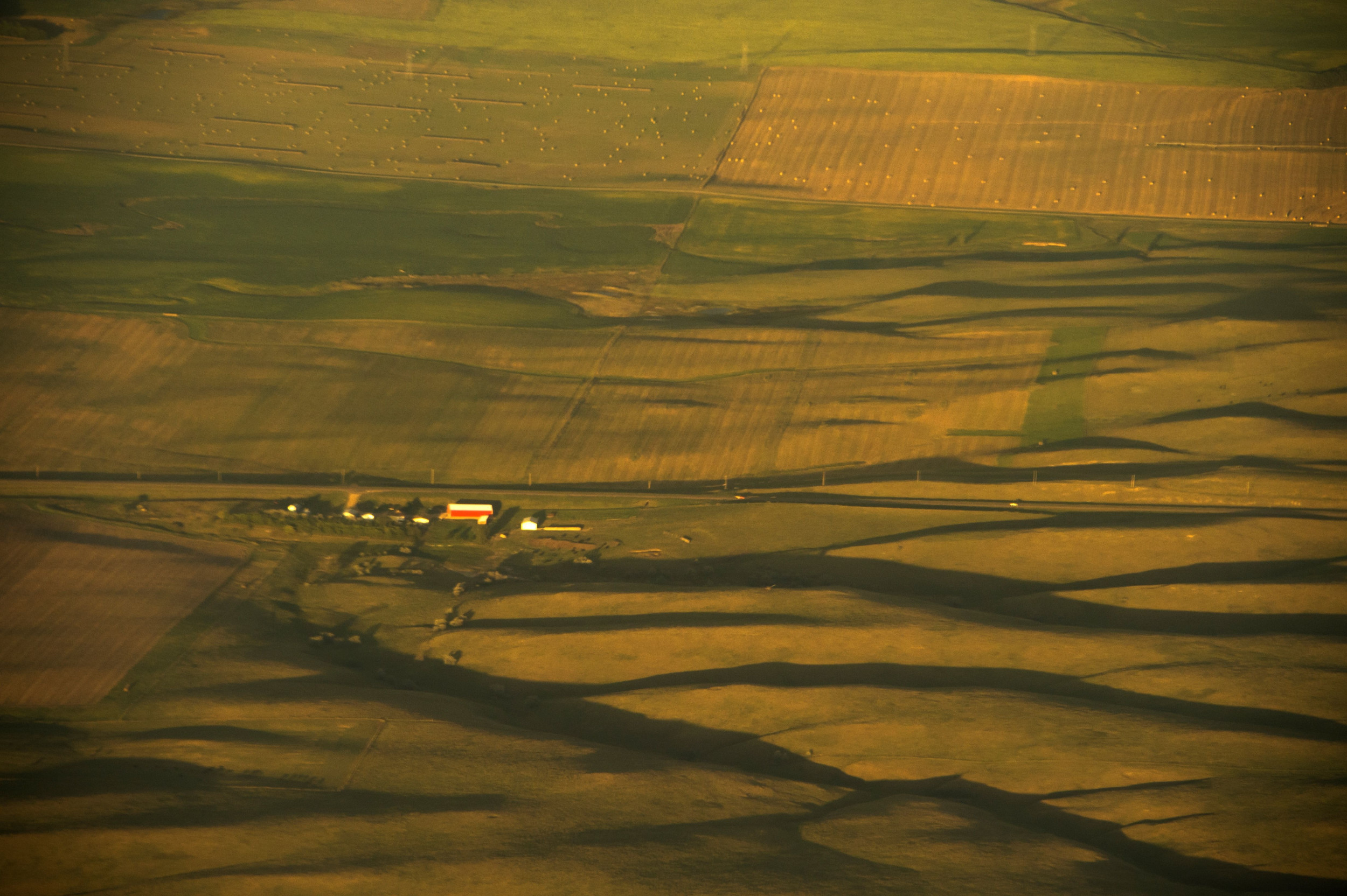 satelite cattle range north dakota