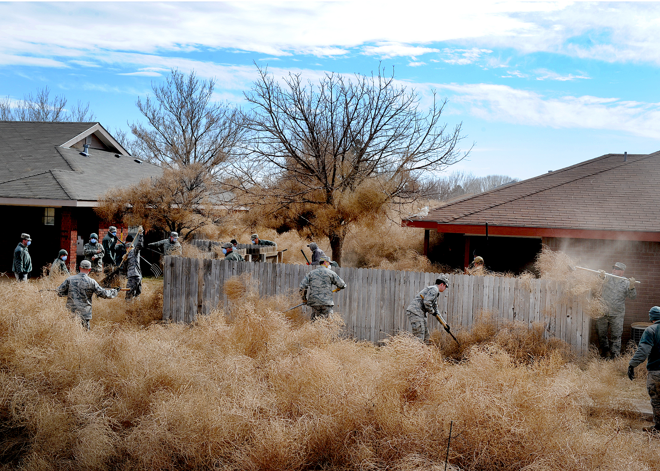 A giant tumbleweed rolled down a California highway : NPR