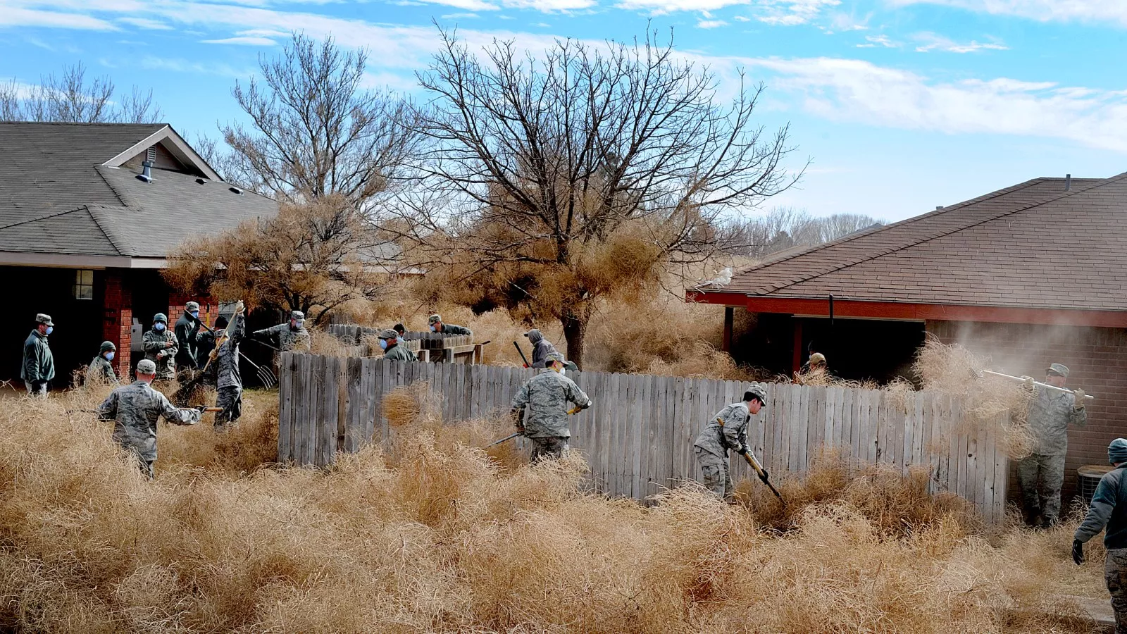Way of the Tumbleweed