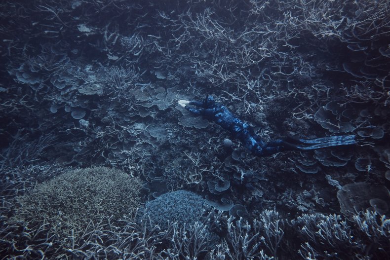 Blue Sink Hole Great Barrier Reef