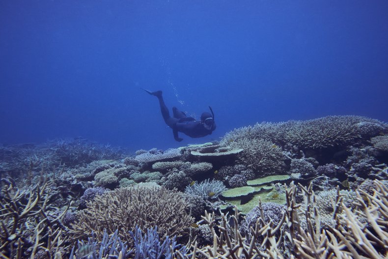 Blue Sinkhole 2