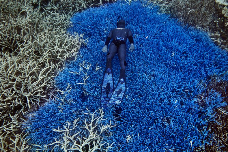 BLue Sinkhole 3