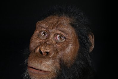A judge's gavel resting on a pile of one-dollar bills