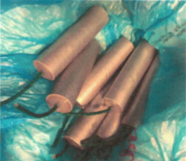  new york teacher homemade explosives guns drugs