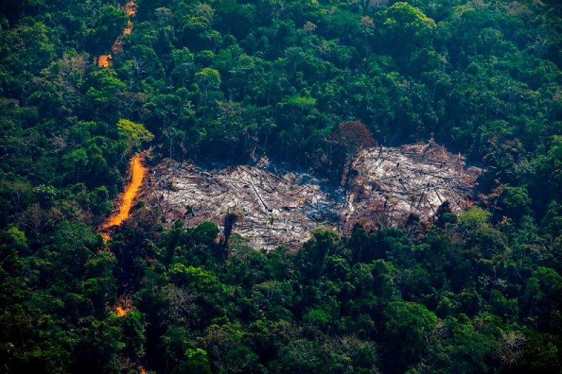 amazon fire aerial view brazil