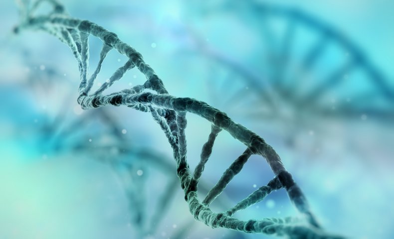 dna