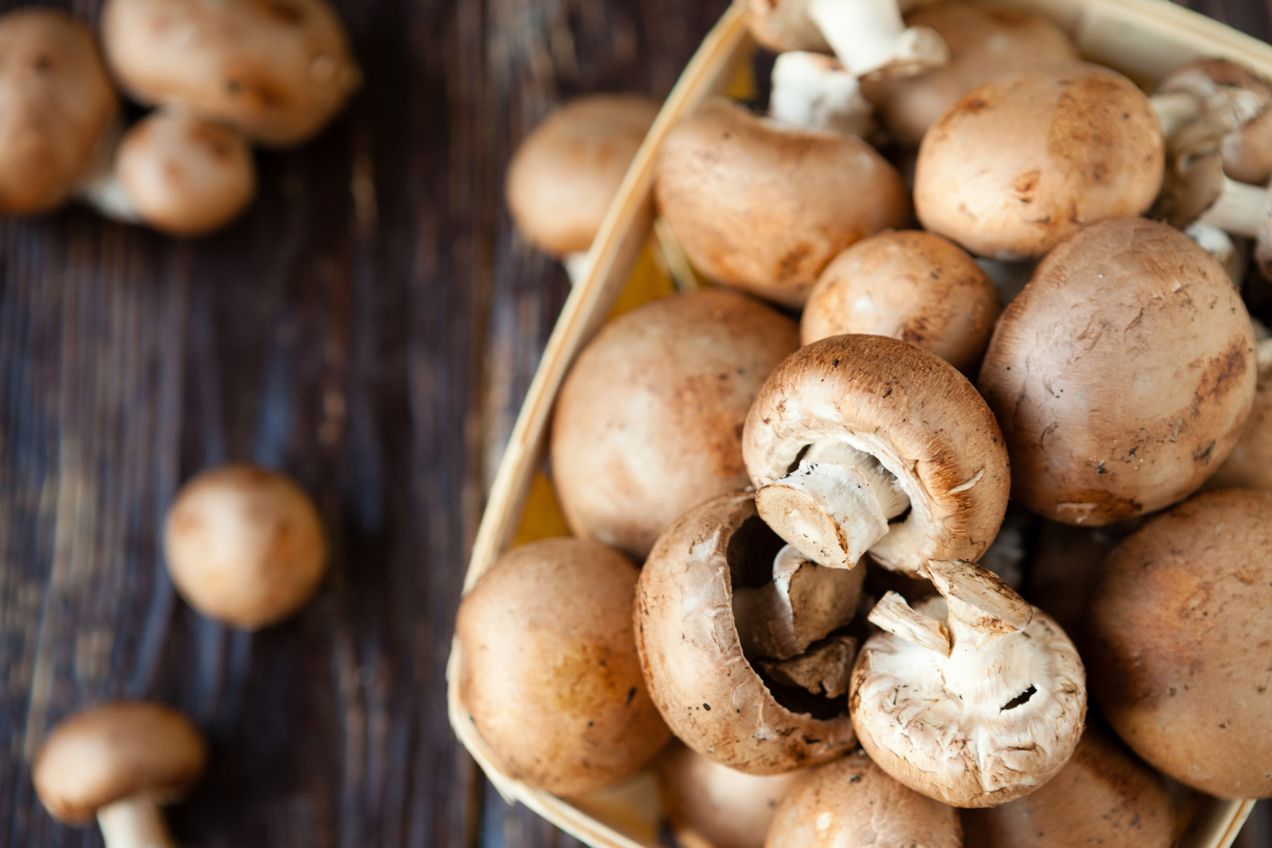 mushroom-vegetable-food-healthy-stock-ge