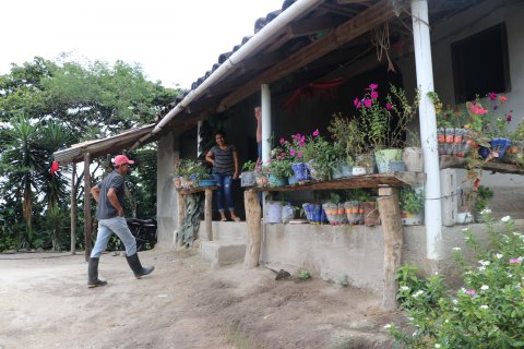 perez