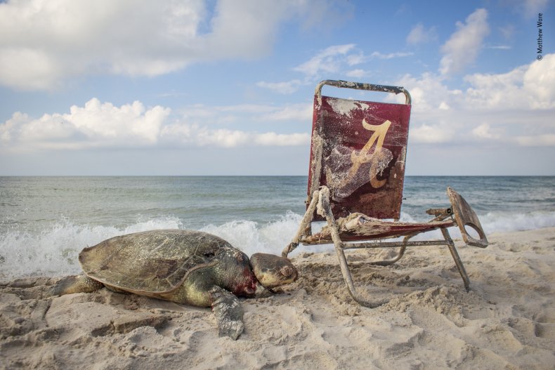 Matthew Ware Beach Waste 2019 Matthew Ware Beach Waste 2019