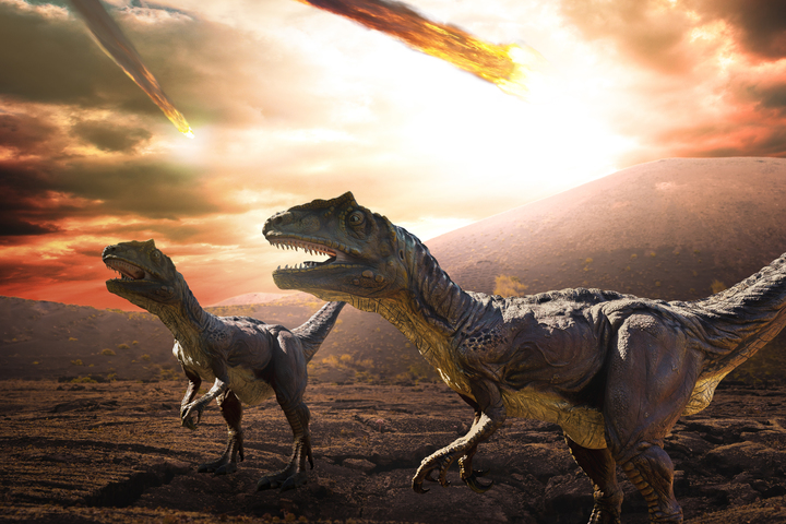 This Is What Happened on the Day the Dinosaur-Killing Asteroid Hit Earth - Newsweek