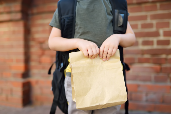 sack lunch bags